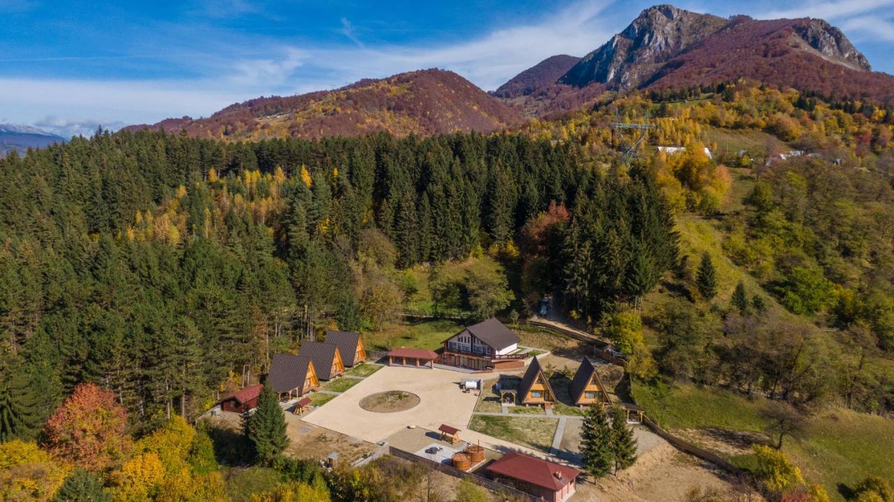 Catunul Din Podei A-Frame Dragoslavele Exterior foto