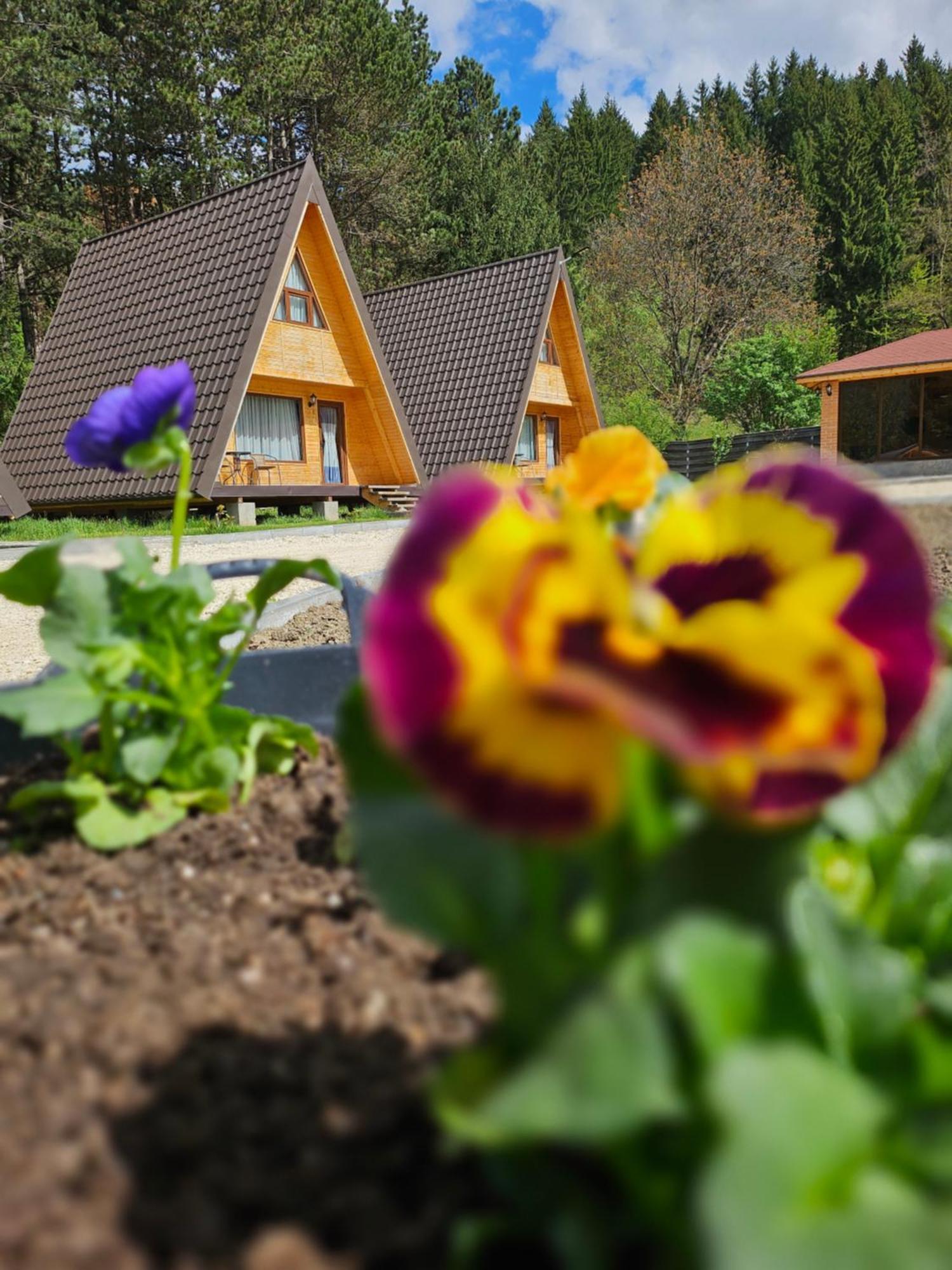 Catunul Din Podei A-Frame Dragoslavele Exterior foto